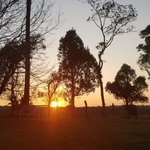 foto carrocel 6
